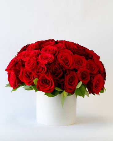 5 Dozen size, 16 inches height and 15 inches wide.