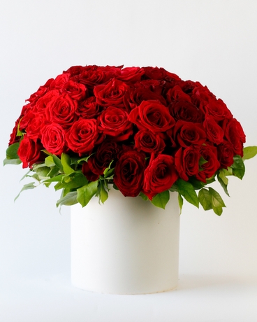 6 Dozen size, 18 inches height and 16 inches wide.