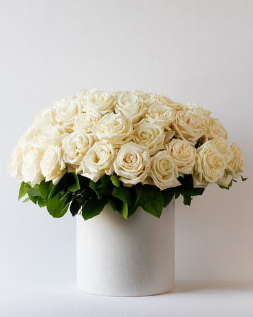 5 Dozen size, 16 inches height and 15 inches wide.