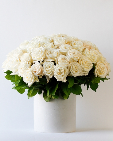 6 Dozen size, 18 inches height and 16 inches wide.