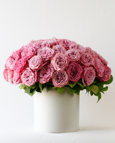 5 Dozen size, 16 inches height and 15 inches wide.