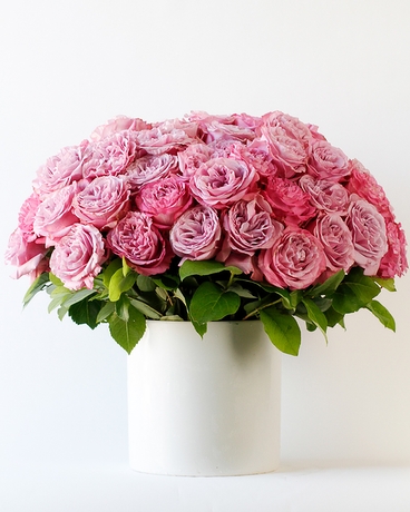 6 Dozen size, 18 inches height and 16 inches wide.