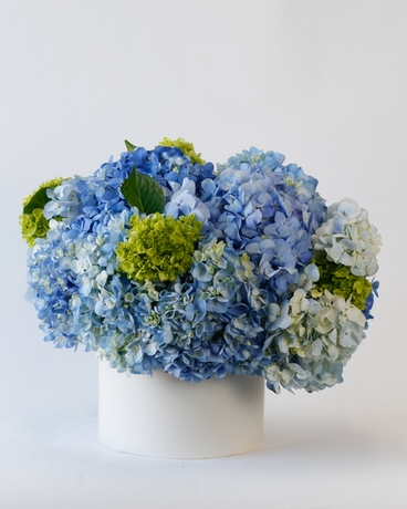 Standard size, 10 inches height and 12 inches wide.