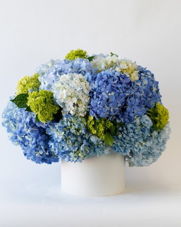 Deluxe size, 13 inches height and 15 inches wide.