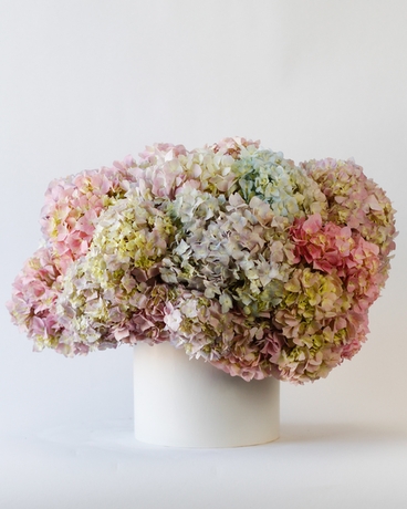 Deluxe size, 15 inches height and 13 inches wide.