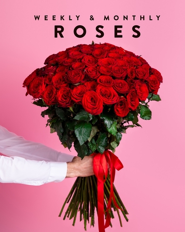 The Roses // Subscription Flower Arrangement