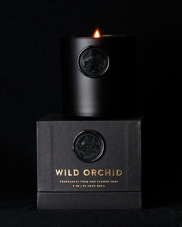 Wild Orchid Candle | DRD Exclusive Jar Candle