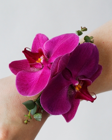 PURPLE (SHOWN) size,  inches height and  inches wide.