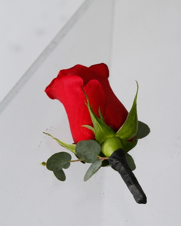 Red size,  inches height and  inches wide.