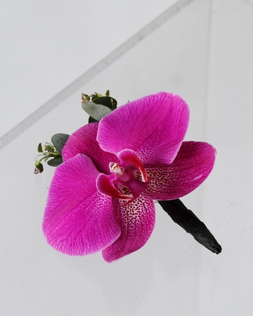 BRUNO // Phalaenopsis Boutonniere Flower Arrangement