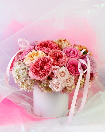 Standard size,  inches height and  inches wide.