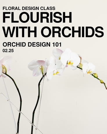 Flourish with Orchids | 02.25 | Richardson Flower Arrangement