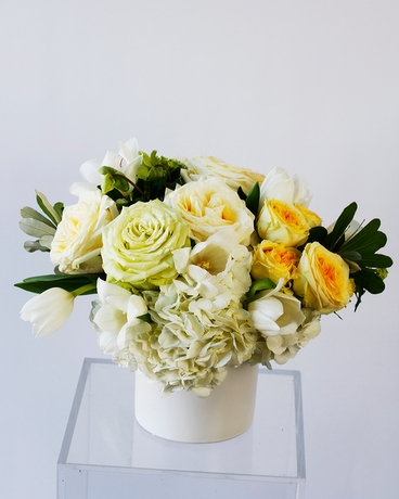 Standard size, 8 inches height and 8 inches wide.