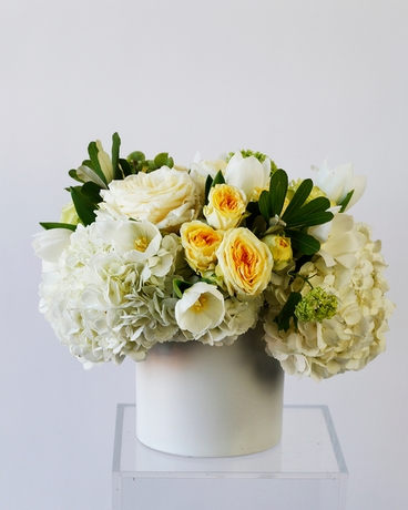 Premium size, 11 inches height and 11 inches wide.