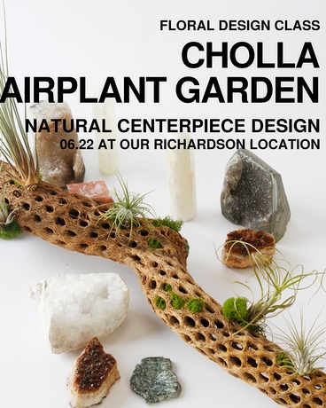 Cholla Airplant Garden | 6.22 | Richardson Flower Arrangement