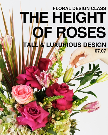 For One size,  inches height and  inches wide.