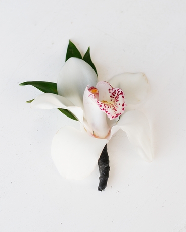 White (Shown) size,  inches height and  inches wide.