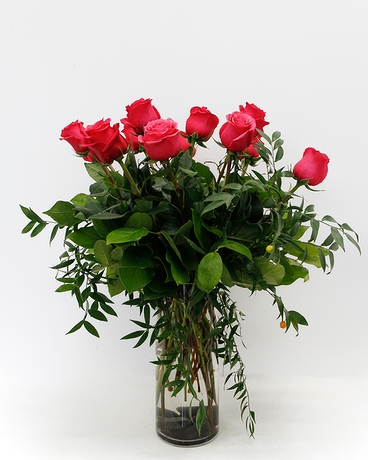 Hot Pink - 1 Dozen size,  inches height and  inches wide.