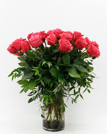 Hot Pink - 3 Dozen size,  inches height and  inches wide.