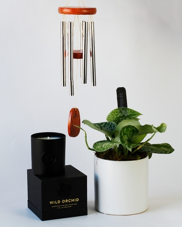 Love & Light | Plant & Windchime Set Flower Arrangement