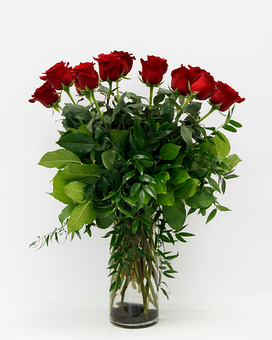 RED - 1 Dozen size,  inches height and  inches wide.